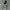 Camo Zip Up Hoodie Boxy photo 3