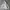 2000's Heavyweight Blank Gray Hoodie Boxy photo 2
