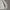 2000's Heavyweight Gray Zip Up Hoodie Boxy photo 2