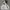 2000's Heavyweight Gray Zip Up Hoodie Boxy photo 1
