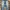 Baggy pants jeans  Ballon By KESSON JEANS photo 3