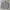 Y2K Casual T-shirt Pria gray photo 2