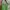 Zara Green Sling Bag photo 1