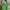 Zara Green Sling Bag