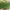 Zara Green Sling Bag photo 2