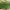 Zara Green Sling Bag