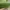 Zara Green Sling Bag photo 3