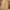 Overall carhatt carpenter loss tag photo 7