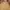 Overall carhatt carpenter loss tag photo 4