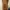 Overall carhatt carpenter loss tag photo 2