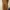 Overall Carhatt Carpenter Loss Tag
