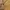 Overall carhatt carpenter loss tag photo 5