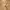 Overall carhatt carpenter loss tag photo 8
