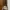 RARE ITEM! Victoria's Secret 2016 Fashion Show Sling Bag 