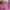 RARE ITEM Victoria's Secret Self Care Kit 3in1 photo 5