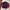 Polo Ralph Lauren Vintage Y2K Track jacket Wanita navy red photo 4