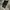 fungky jack kargo pria Y2k photo 1