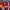 Polo Ralph Lauren Streetwear Y2K Polo shirt Pria white red blue photo 3