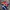 Polo Ralph Lauren Streetwear Y2K Polo shirt Pria white red blue photo 1
