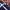 Polo Ralph Lauren Streetwear Y2K Polo shirt Pria white red blue photo 2