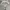 Longpants ,Baggy Pants Cream photo 9