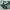 Adidas Vintage Casual Sneakers Wanita white green photo 2