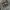 Keith Haring Streetwear Parka Pria Gray photo 6