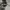 converes 70s black white photo 5