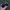 Rayban Wayfarer Black Doff Green Lens