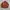 Bomber Jacket Terracotta Machope photo 1