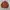 Bomber Jacket Terracotta Machope photo 5