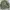 Cardigan Jacket Olive Green Needlework photo 8