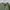 Cardigan Jacket Olive Green Needlework photo 3