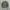 Cardigan Jacket Olive Green Needlework photo 6
