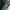 Vintage Wanita green photo 2