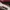 Alpha industries usa cargo pants military not avirex photo 5