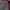 Alpha industries usa cargo pants military not avirex photo 4