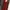 Vintage Wanita burgundy brown orange photo 2