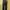 True Religion Men's "Straight" Dark Navy Blue Jeans Y2K photo 2