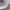 Sportswear Pria white gray photo 4