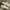 adidas supersatar  photo 1