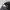 Topi Covernat visor pendek photo 5
