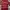 Vintage Streetwear Sweat Crimson