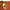 Mulberry Vintage Caramel Clutch / Ipad Sleeve photo 3