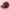 Zephyr D'Urban Vintage Streetwear Hat Pria Red
