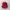 Zephyr D'Urban Vintage Streetwear Hat Pria Red