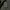 Tracktop jacket Burberry  Black Label Of London Authentic photo 4