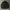 Tracktop jacket Burberry  Black Label Of London Authentic photo 2