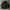 Tracktop Jacket Burberry  Black Label Of London Authentic