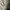 Jacket Harrington Burberry Of London Authentic photo 6
